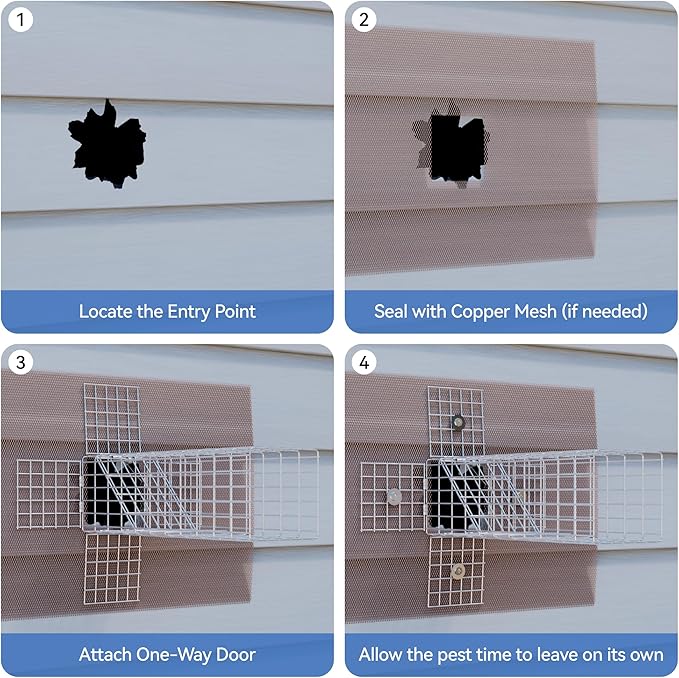 One Way Door for Squirrels Excluder Humane Squirrel Traps OutdoorM Reusable Squirrel and Rodent Trap with Copper Mesh for Chipmunks Mice Rats Includes DIY Installation Kit