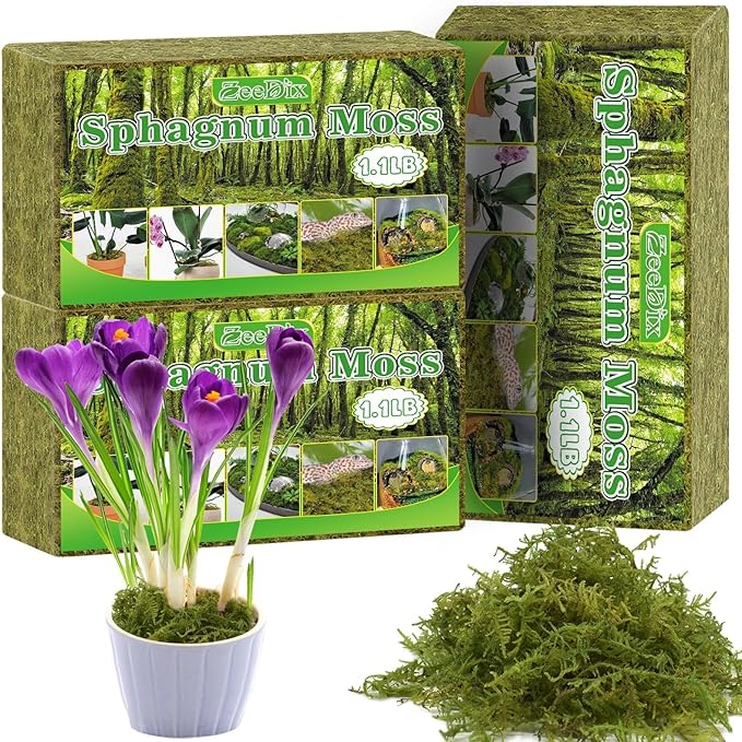 ZeeDix 3-Pack Premium Sphagnum Moss - 3.3 lb Orchid Moss Plant Growing Medium for Terrariums Orchids Carnivorous Succulents &amp Reptile Habitat Substrate