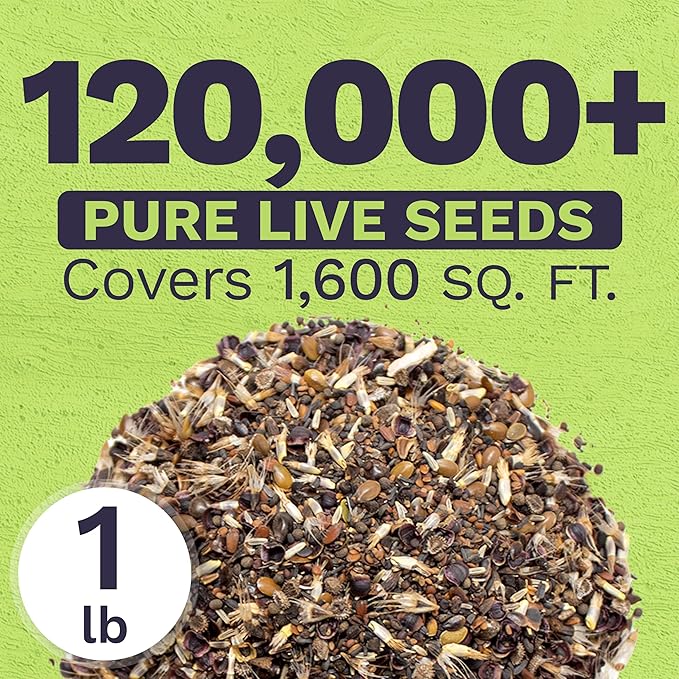 California Natives Mix - Bulk 1 Pound Bag - Over 120000 Native Seeds - Open Pollinated and Non GMO