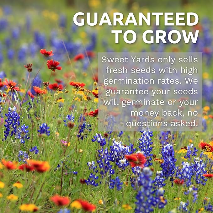California Natives Mix - Bulk 1 Pound Bag - Over 120000 Native Seeds - Open Pollinated and Non GMO