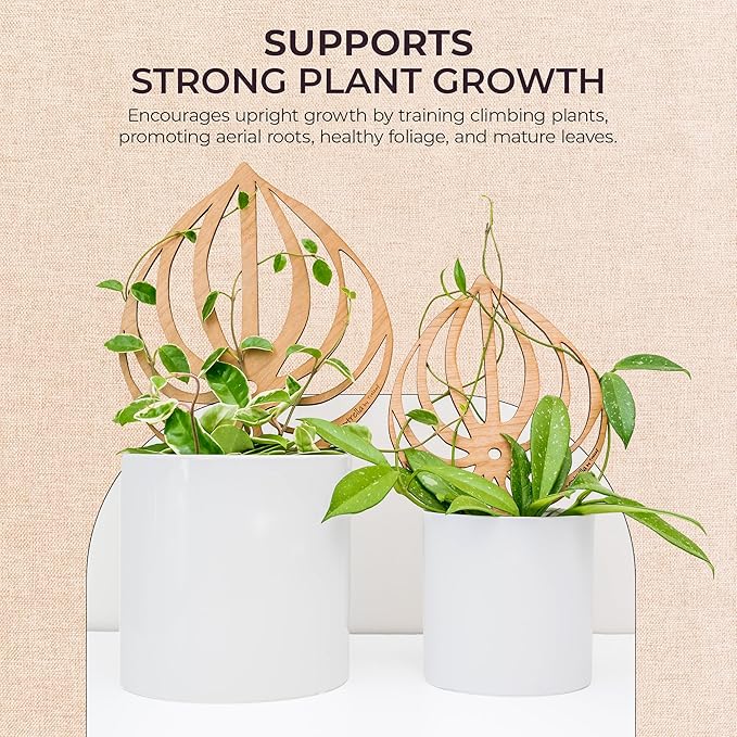 Treleaf Peptrella Watermelon Peperomia Inspired Wooden Trellis – Petite Size 9 Indoor Plant Support for Hoyas and Climbing Plants – Decorative Houseplant Trellis and Wooden Plant Stake