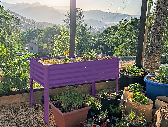 Galvanized Raised Garden Beds Outdoor with Legs // 48×24×31in Elevated Planter Box for Vegetables Flowers (Purple) // Large Metal Garden Bed for Backyard Patio Gardening
