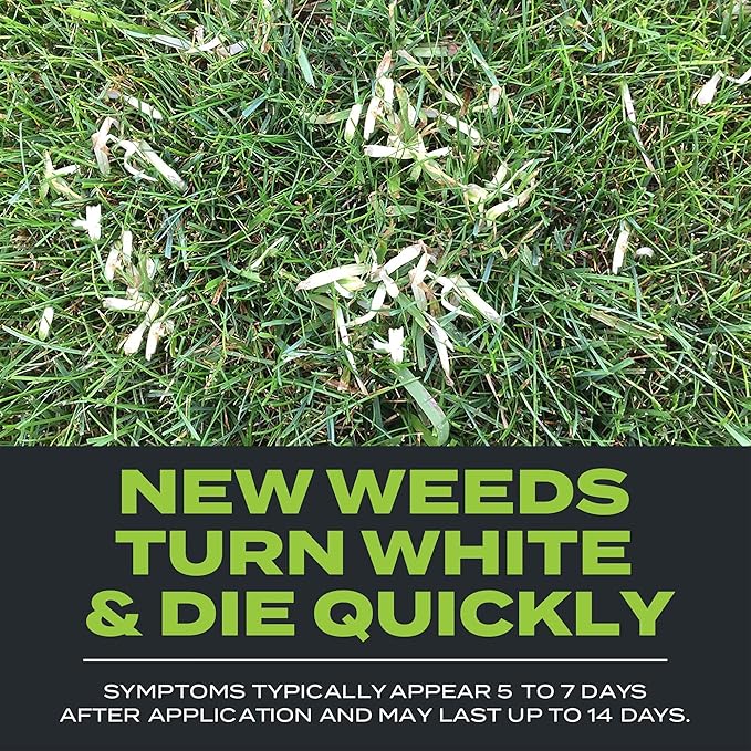 Scotts Turf Builder Triple Action Built For Seeding - Weed Preventer and Fertilizer for New Lawns 1000 sq. ft. 4.3 lbs.