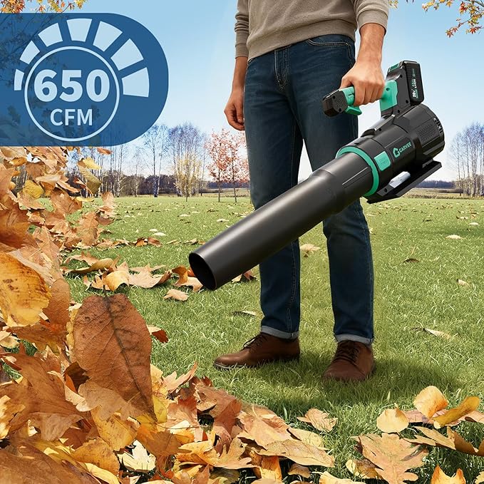DEXSO Cordless Leaf Blower - 650 CFM / 200 MPH2 Speed 21-Volt Lithium-ion 4.0Ah Battery and Charger Included