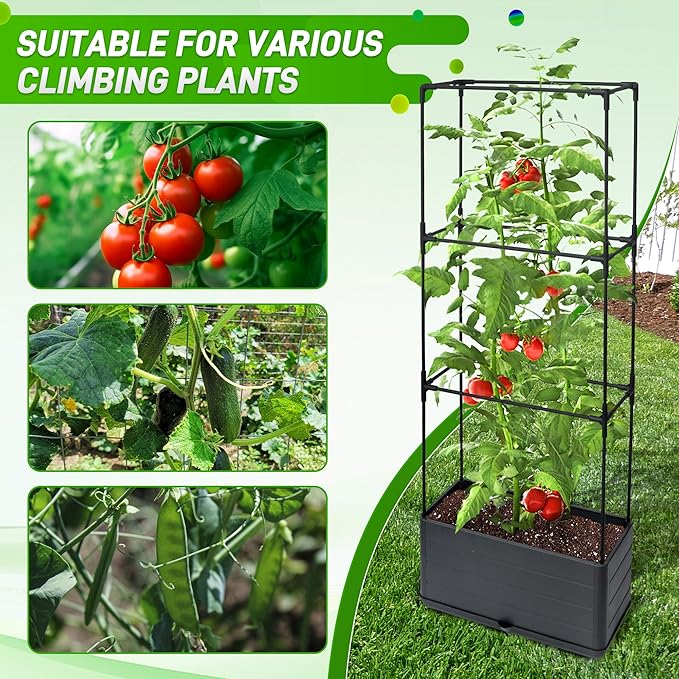 2 Packs Raised Garden Bed Tomato Planter Box with Trellis 43.4 Self-Watering Tomato Cage with Rectangular Trellis for Climbing Plants Flowers Vegetables Vine in Patio Garden Indoor Outdoor