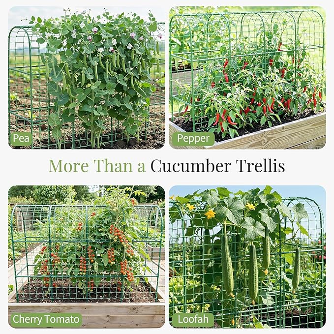 Housolution Cucumber Trellis for Raised Bed 67×48 U-Shape Garden Trellis for Climbing Plants Outdoors with 2×3m Net for Tomato Squash Zucchini Peas Beans Grape Fruit Flowers Green
