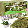 Riare 3.3LBS Premium Sphagnum Moss for Plants- 60QT Natural Dried Plant Moss for Potted Plants Orchid Moss for Repotting Soft Green Decorative Moss for Succulents Reptiles &amp DIY Crafts