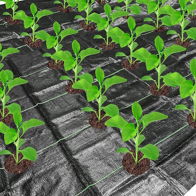 codree 26 x 6.5 Ft Garden Weed Barrier Landscape Fabric with Planting Holes- Heavy-Duty Garden Weed Control Barrier- Weed Block Gardening Mat with 10 Ground Nail for Outdoor Garden