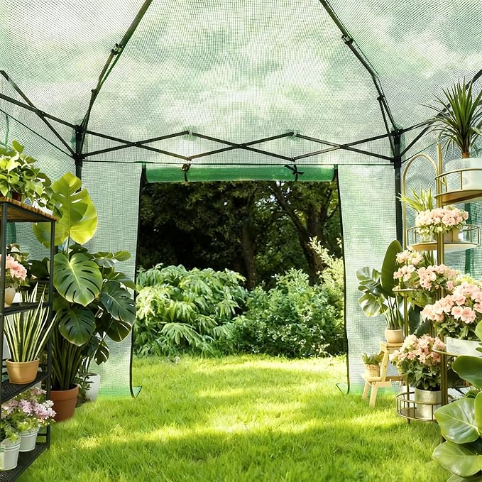 GDY 8X8FT Instant Pop-up Greenhouse Walk-in Plant Gardening Green House with PE Cover/Roll-Up Zipper Doors/Side Windows for Indoor Backyard and Outside Green/Clear.