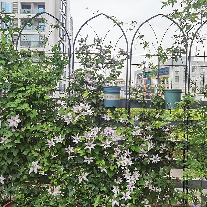 Metal Garden Trellis Rustproof Trellis for Climbing Plants Outdoor Flower Support (Black-4 Pack 78.7x19.7)