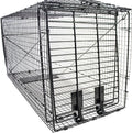 Humane Way Folding 50 Inch Live Humane Animal Trap - Safe Traps for All Animals - Dogs Raccoons Cats Groundhogs Opossums Coyote Bobcat - 50x20x26
