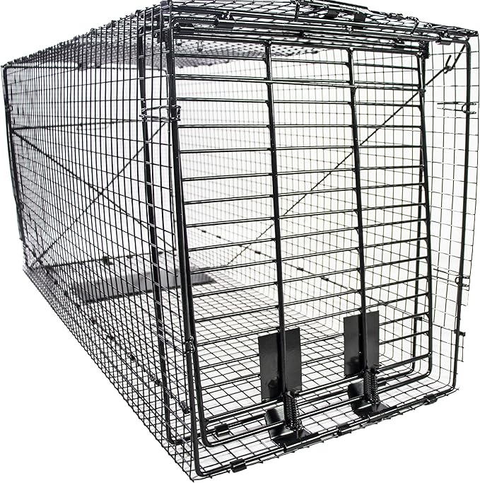 Humane Way Folding 50 Inch Live Humane Animal Trap - Safe Traps for All Animals - Dogs Raccoons Cats Groundhogs Opossums Coyote Bobcat - 50x20x26