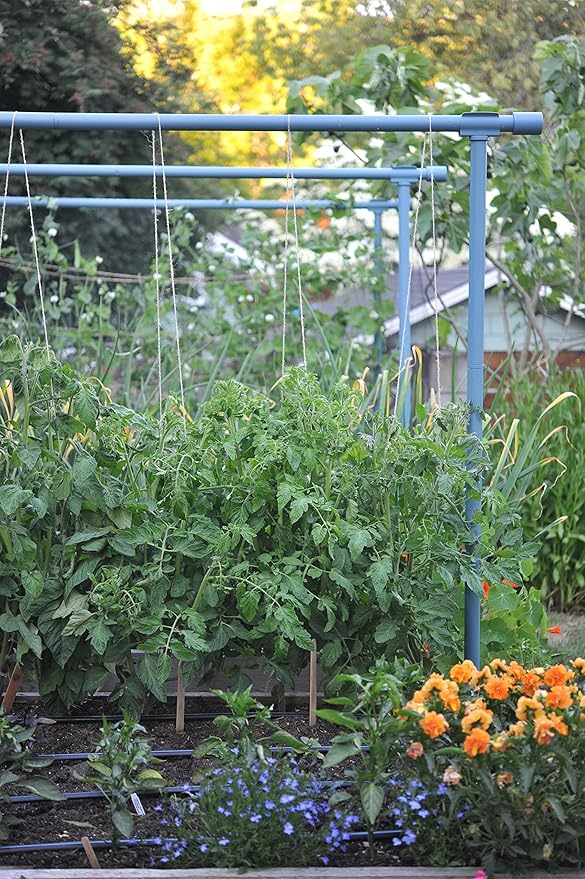 Seattle Urban Farm Company - Freyr Trellis - Vegetable Garden Trellis for Tomatoes Cucumbers Beans Peas and More
