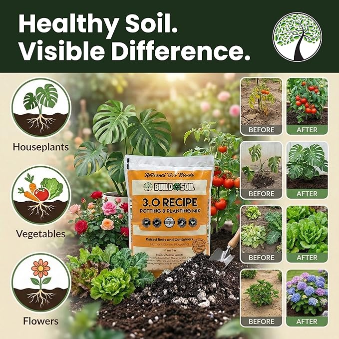 BuildASoil Potting Soil Recipe 3.0 - Organic Living Potting Soil Mix for Indoor and Outdoor Plants Water-Only Formula Well-Draining Indoor Garden Dirt for Full Growth Cycle - 35 lbs