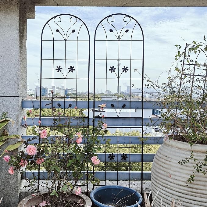 4 Pack Large Garden Trellis Heavy Duty Rustproof Iron Plant Trellis for Potted Plant Support Metal Climbing Rose Trellis Vine Vegetable Cucumber Black -86 H x 19.7 W