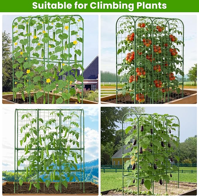 62in Tall Cucumber Trellis for Raised Bed 51 L x 62 H Metal Garden Trellis for Climbing Plants Outdoor U-Shape Vegetables Trellis Support for Squash Zucchini Peas Grape