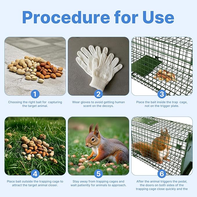 ARIFARO Animal Cage Trap (31 L x 10 W x 11 H) Humane Live Cage Trap Double-Door Metal Capture Cage for SkunksRaccoonsRabbitsStray CatsSquirrelsMolesGophers