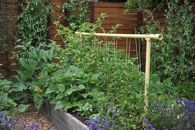 Seattle Urban Farm Company - Freyr Trellis - Vegetable Garden Trellis for Tomatoes Cucumbers Beans Peas and More