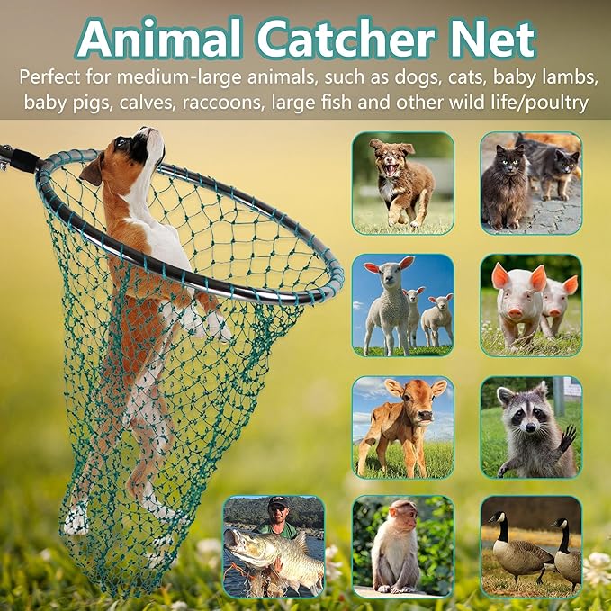 Dog Catch Net Animal Control Net Poultry Catching Trap Tool Length Adjustable for Cat Pigeon and Others (42~70 Handle with 24.4 Net Opening) (Stainless Steel Natural - Large)