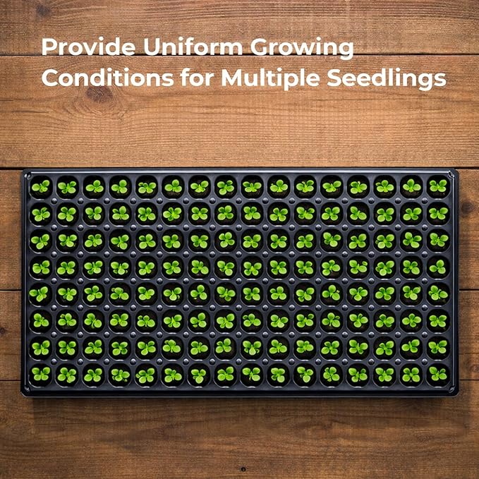 Gardzen 10 Pack 128 Cell Seed Starter Trays 1.5 Deep Plug Tray for Seedlings Durable Seedling Trays with Drainage Holes Fit Standard 1020 Drip Tray