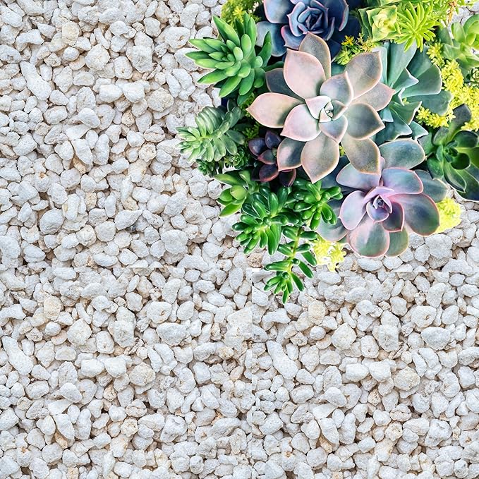 Perlite for Plants Coarse and Chunky Horticultural Perlite Organic Perlite for Gardening Indoor &amp Outdoor Perlite Bulk Bag Made in USA (30 quarts)