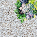 Perlite for Plants Coarse and Chunky Horticultural Perlite Organic Perlite for Gardening Indoor &amp Outdoor Perlite Bulk Bag Made in USA (30 quarts)