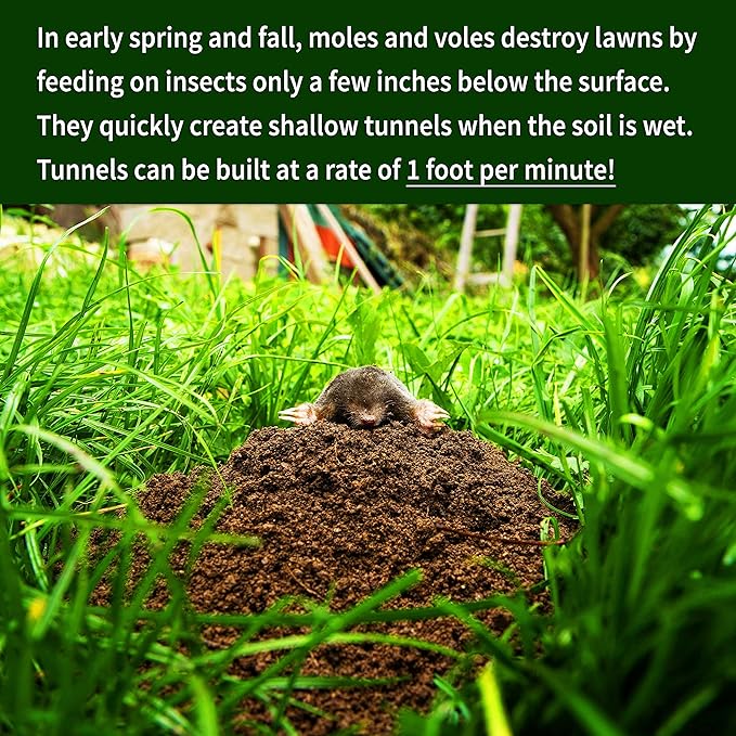 Nature’s MACE Mole and Vole MACE Mole Repellent for Lawns Vole Repellent for Outdoor Use Plant-Safe Castor Oil Granules 10 lb Bag