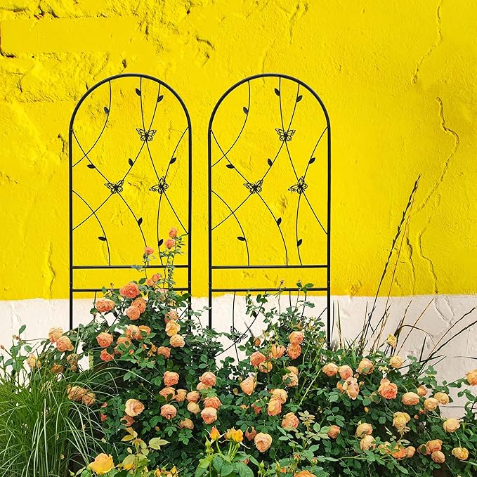 2 Pack Metal Garden Trellis 71 x 19.7 Rustproof Trellis for Climbing Plants Outdoor Flower SupportButterfly Decor for PatioBackyard Black (Black 19.7''W x 71''L)