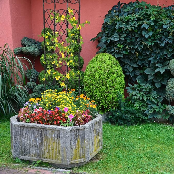 Plant Climbing Support Garden Trellis Rack Trellis Decorative Garden Trellis Metal Support Wire Climbing Plants Vines Flowers Rack for Climbing Vines Flower(#1)