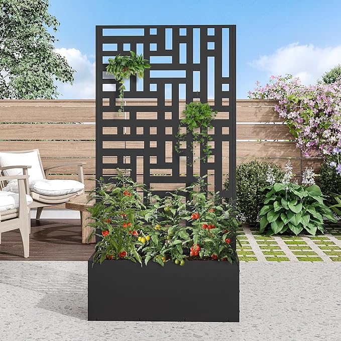 Casaphoria Metal Raised Garden Bed with Trellis 59x30x12 Planter Box for Climbing Plants Vegetables &amp Vines Features Drainage Holes and Privacy Screen (Black-Helen)