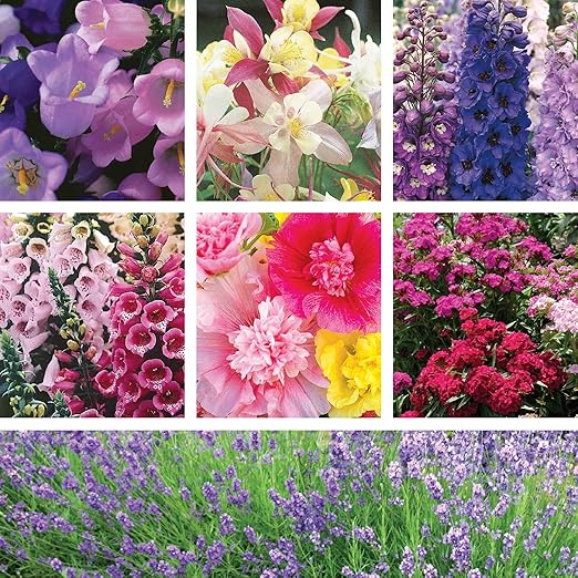 SUPERthrive Organic 4-4-4 All-Purpose Fertilizer Solid Granular and Ferry-Morse English Cottage Perennial Garden Seed Variety Pack