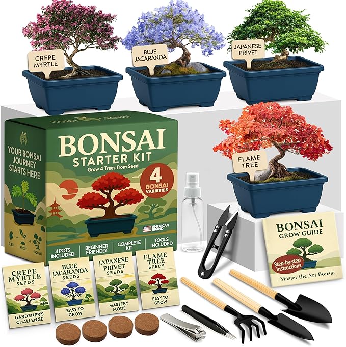 HOME GROWN Bonsai Tree Starter Kit – Unique Christmas Gift for Adults Men Women - Grow 4 Bonsais – DIY Crafts Hobby Gardening Kit for Plant Lovers Mom Dad - White Elephant Gifts for Adults