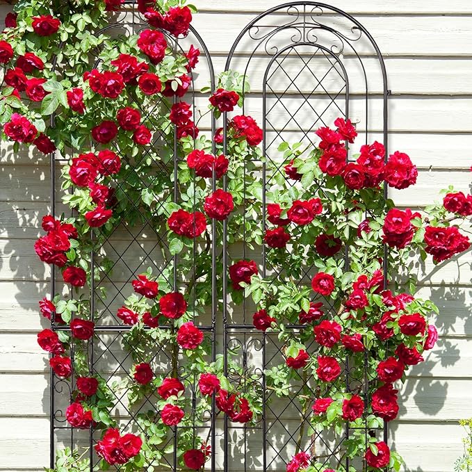 2 Pack Sturdy Garden Trellis for Climbing Plants Outdoor Metal Trellis US