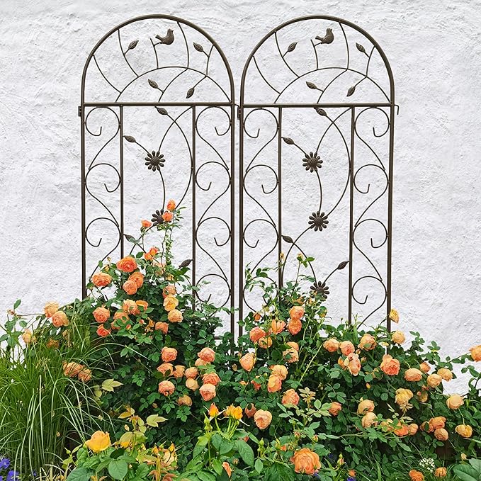 Metal 4 Pack Trellis for Climbing Plants Outdoor 7 FT Tall Galvanized Steel Garden Trellis for Patio Lawn Wall Decor Plant Trellis for Vine Cucumber Tomato Flower Clematis Roses-Bird (Brown)