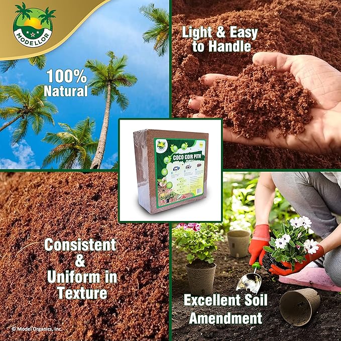 MODELLOR (10 lb) Premium Super Washed Coco Coir Brick High Yield 18 to 20 gallons Seed Starter Organic pH Balanced Gardening Indoor Outdoor use