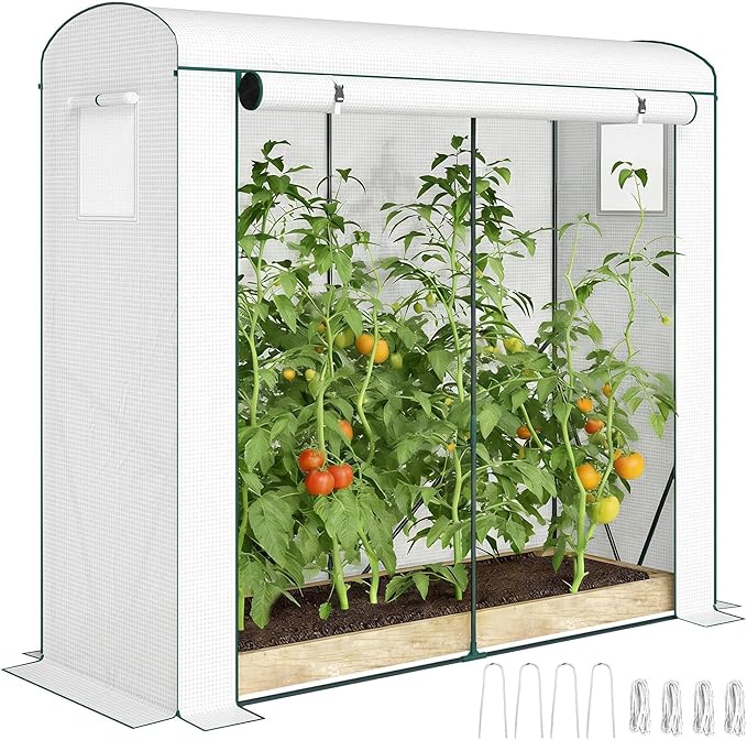 Outsunny Mini Greenhouse Portable Greenhouse with Roll-Up Door and 2 Mesh Windows Small Green House with PE Cover for Garden Patio Lawn 78.7 x 29.5 x 74 White