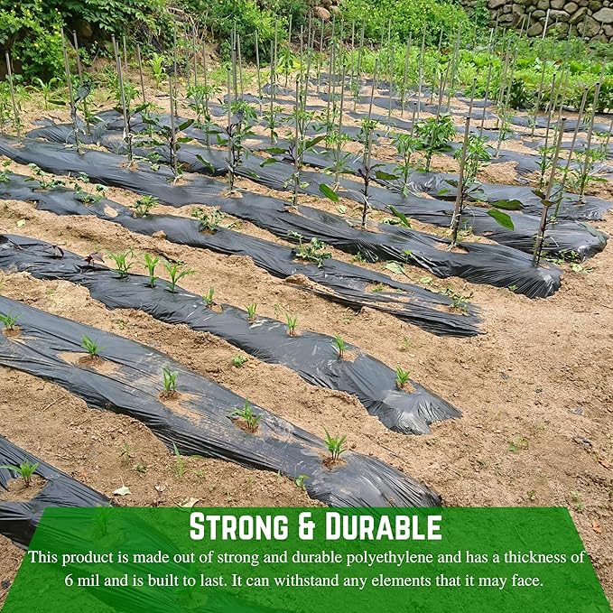 Farm Plastic Supply - Weed Control 6 Mil Black Plastic Sheeting - Heavy Duty Weed Barrier Landscape Fabric for Outdoor Gardens Non Woven Weed Blocker Fabric Weed Control (24' x 150')
