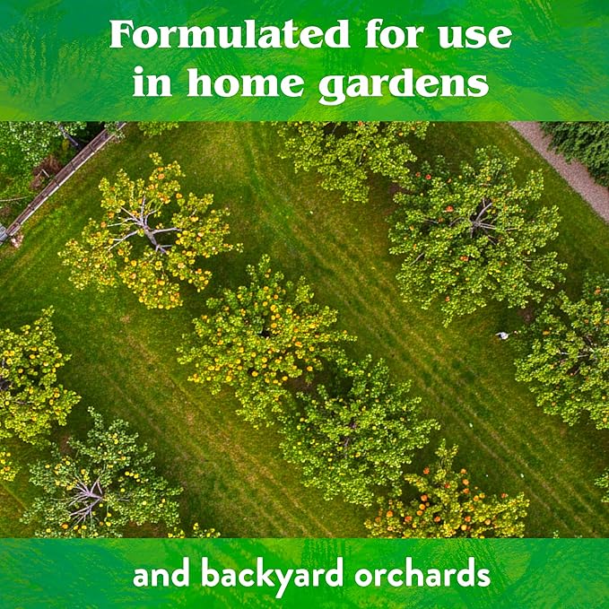 Down To Earth All Natural Fertilizers Organic Fruit Tree - Plant Food for Apples Pears Plums and Tropical Fruit Trees 6-2-4 25 lb