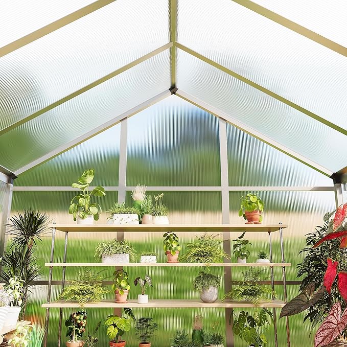 6x10 ft Outdoor Polycarbonate Greenhouse Durable Aluminum Frame with Lockable Door Adjustable Roof Vent Ideal for Backyard Patio or Garden All-Weather Green Houses for Outside Plant Growing