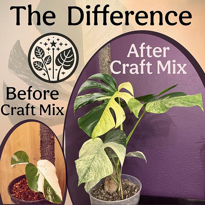 Plant Health Full Transplant Starter Kit