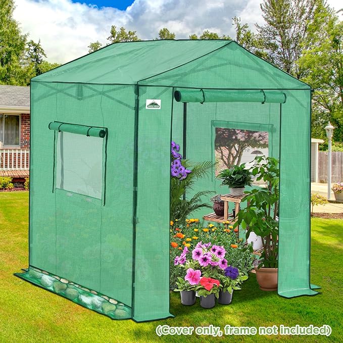 EAGLE PEAK Replacement Cover for 6x6 Gable Roof Pop up Greenhouse Front and Rear Roll-Up Zipper Entry Doors and 2 Large Roll-Up Side Windows (Frame Not Included) Green