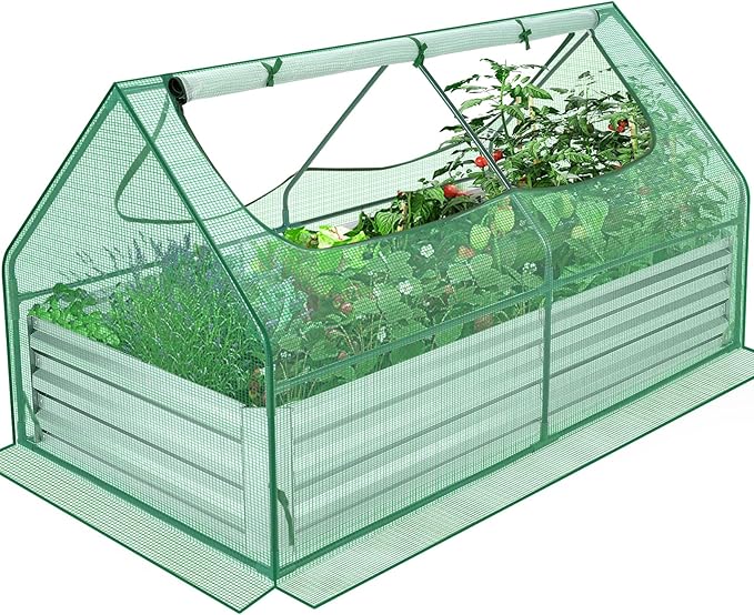 Suyncll 6x3x1FT Galvanized Raised Garden Bed with Cover Metal Planter Box Kit w/ 2 Roll-Up Large Zipper Windows Mini Greenhouse for Outdoor Growing Vegetables with 1 Pair of Gloves