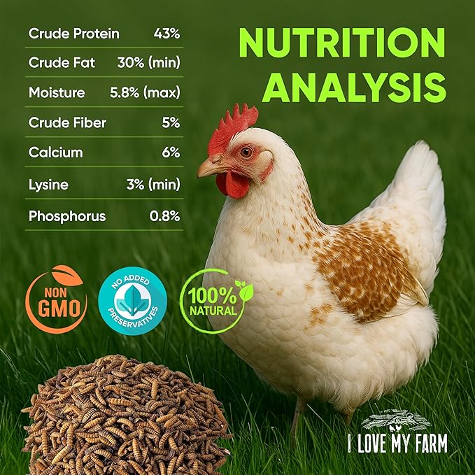 I LOVE MY FARM 20 Lb Dried Black Soldier Fly Larvae More Calcium Than Dried Mealworms High Protein Chicken Feed Poultry Treat BSF Larvae