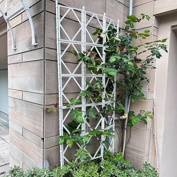 LTSRLL Large Metal Garden Trellis 90cm/35.4in 120cm/47.2in 150cm/59in 180cm/70.8in 220cm/86.6in Hoya Support Foldable Climbing Plant Stake(White220cm/86.6in)
