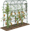Outsunny Cucumber Trellis 6' Tall Arch Trellis for Climbing Plants Outdoor A-Frame with Plastic Coated Steel Frame and Climbing Net Support Vegetables Peas Fruit &amp Vines Green