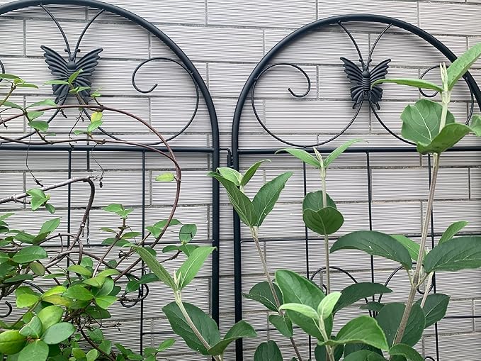 Metal Garden Trellis 2 Pack Metal for Climbing Plants IndoorOutdoor Plant for Potted Plants House Plants Climbing Vines Flowers and Vegetables Lawn Garden Fence Decor Screen Bl
