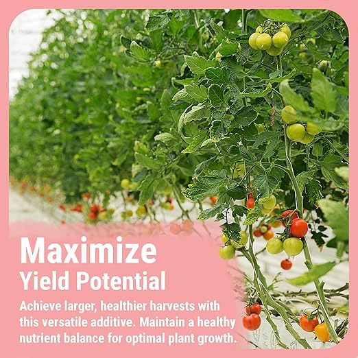 Cronk Nutrients Bud Booster - Best Budding Fertilizer for Maximum Blooms - Hydroponic Nutrients for The Bloom Phase - Balanced pH Formula - Suitable for Soil Soilless and Hydroponic Systems (4L)