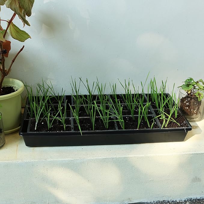 Gardzen 10 Pack Seed Trays Reusable Plant Grow Trays Ideal for Seed Starting Microgreens Indoor Gardening and Greenhouse Plant Nurseries - No Drain Holes 20x10