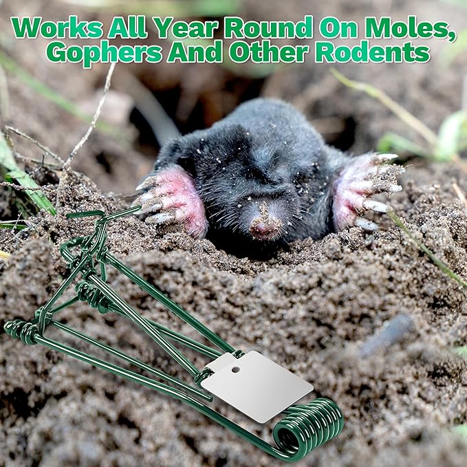 8 Pack Metal Gopher Traps for Outdoor Use Easy Set Reusable Mole and Vole Trap for Lawn Farm Garden Yard