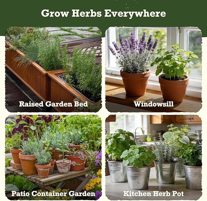 Lush&ampDew Holistic Family Apothecary Seed Chest 30000+ Medicinal Herb Survival Seed Kit Gardening Gifts for Women Men 32 Varieties Heirloom Non-GMO Culinary Herb Seeds for Raised Bed Windowsill